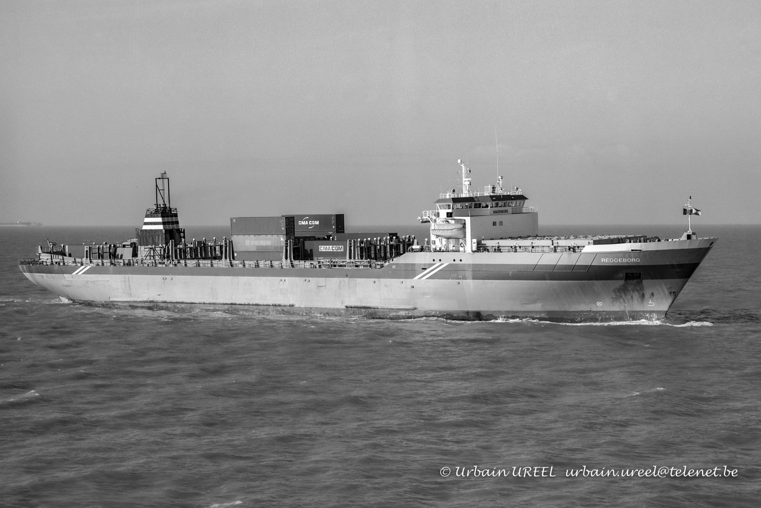 REGGEBORG (°1994) 2006