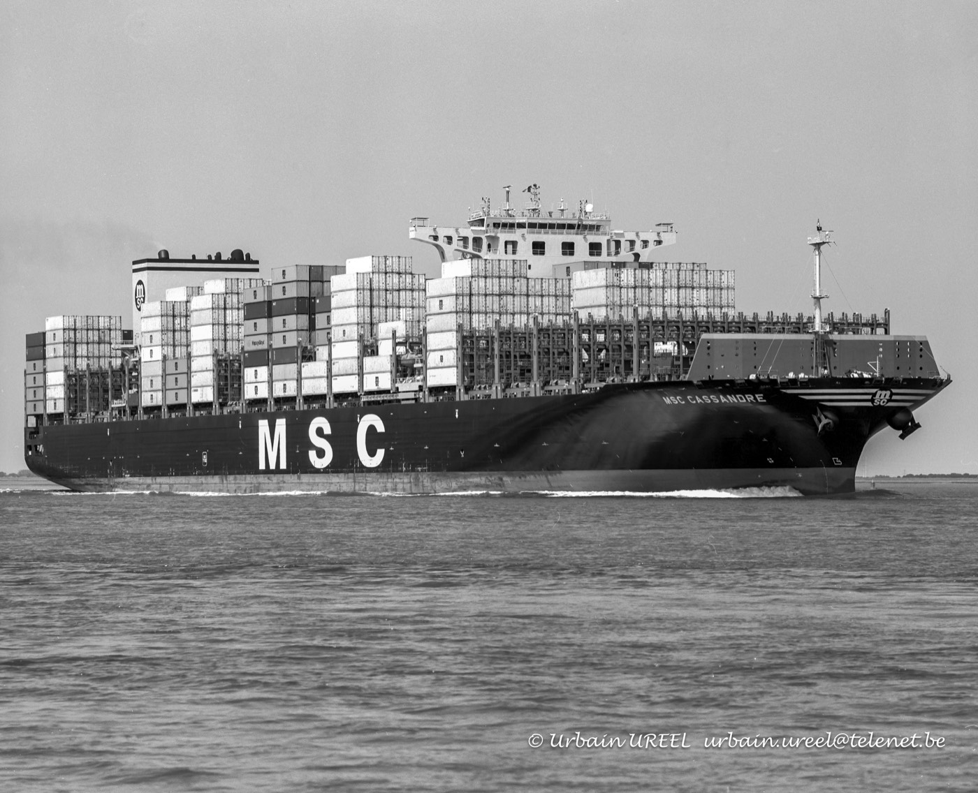 MSC CASSANDRE (°2022) 25JUN2024