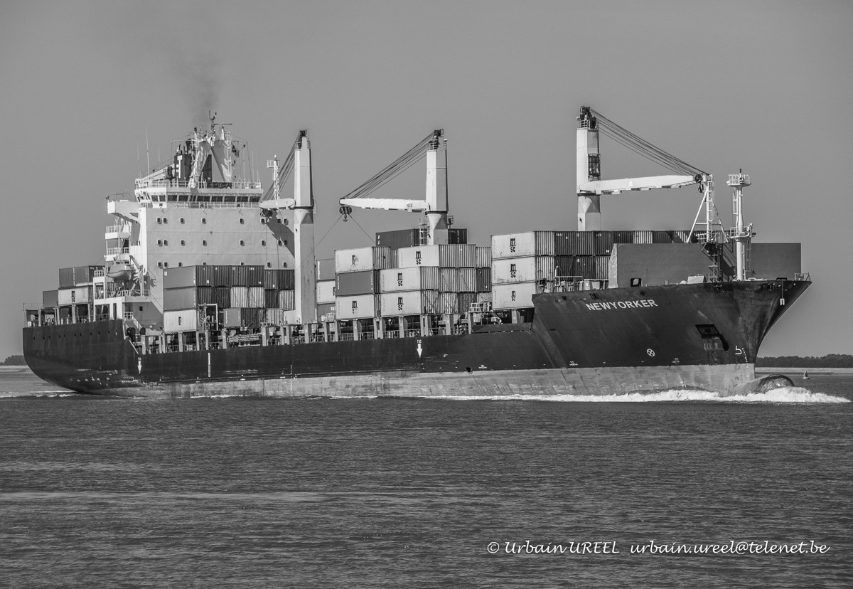 NEWYORKER  (°2001) 2 AUG 2018