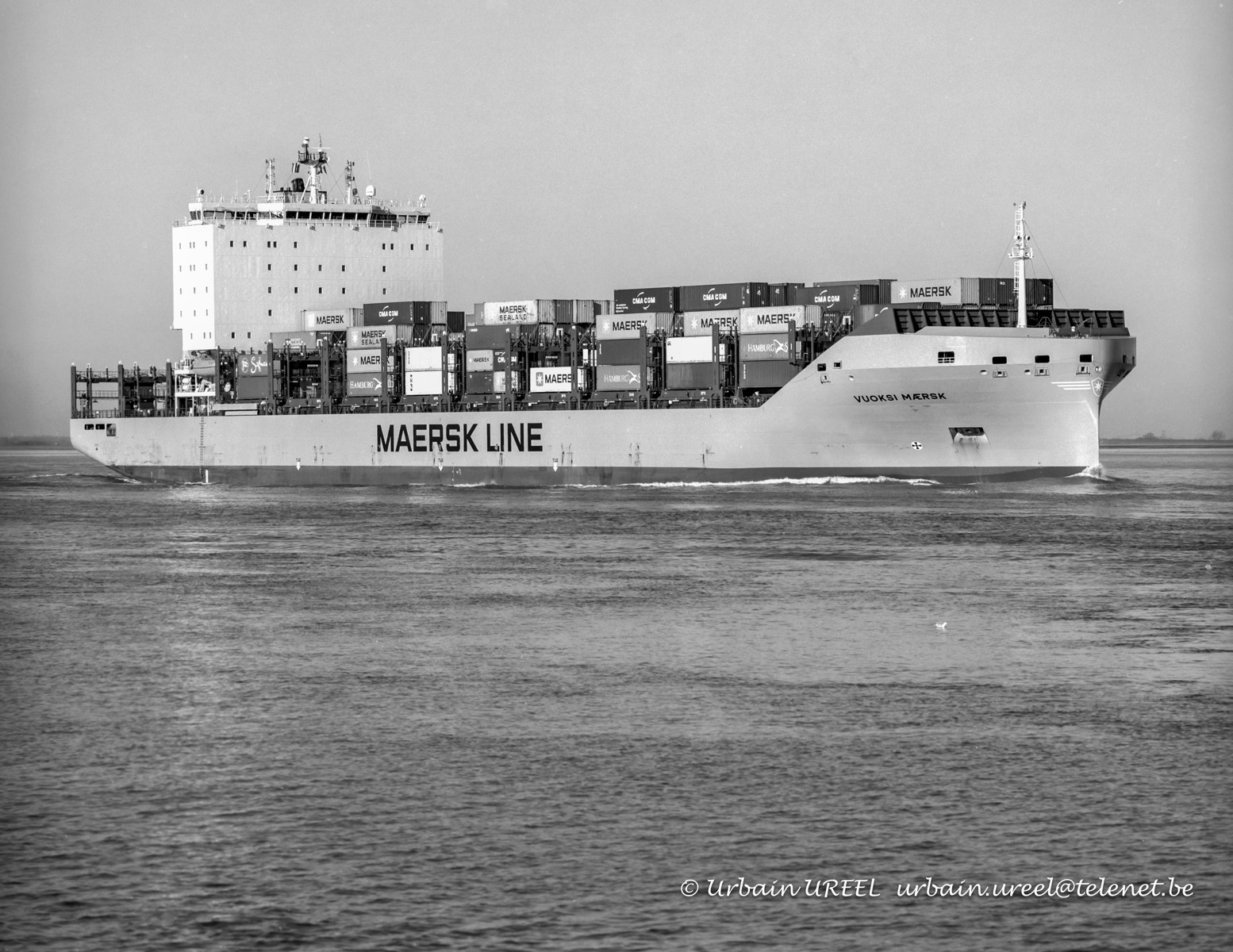 VUOKSI MAERSK (°2017) 15FEB2019