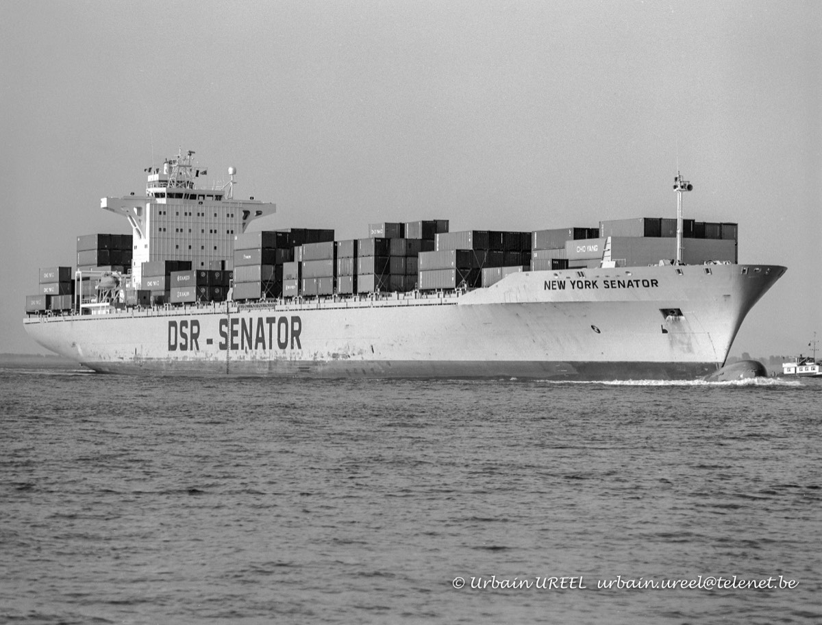 NEW YORK SENATOR (°1985) ç APR 1992