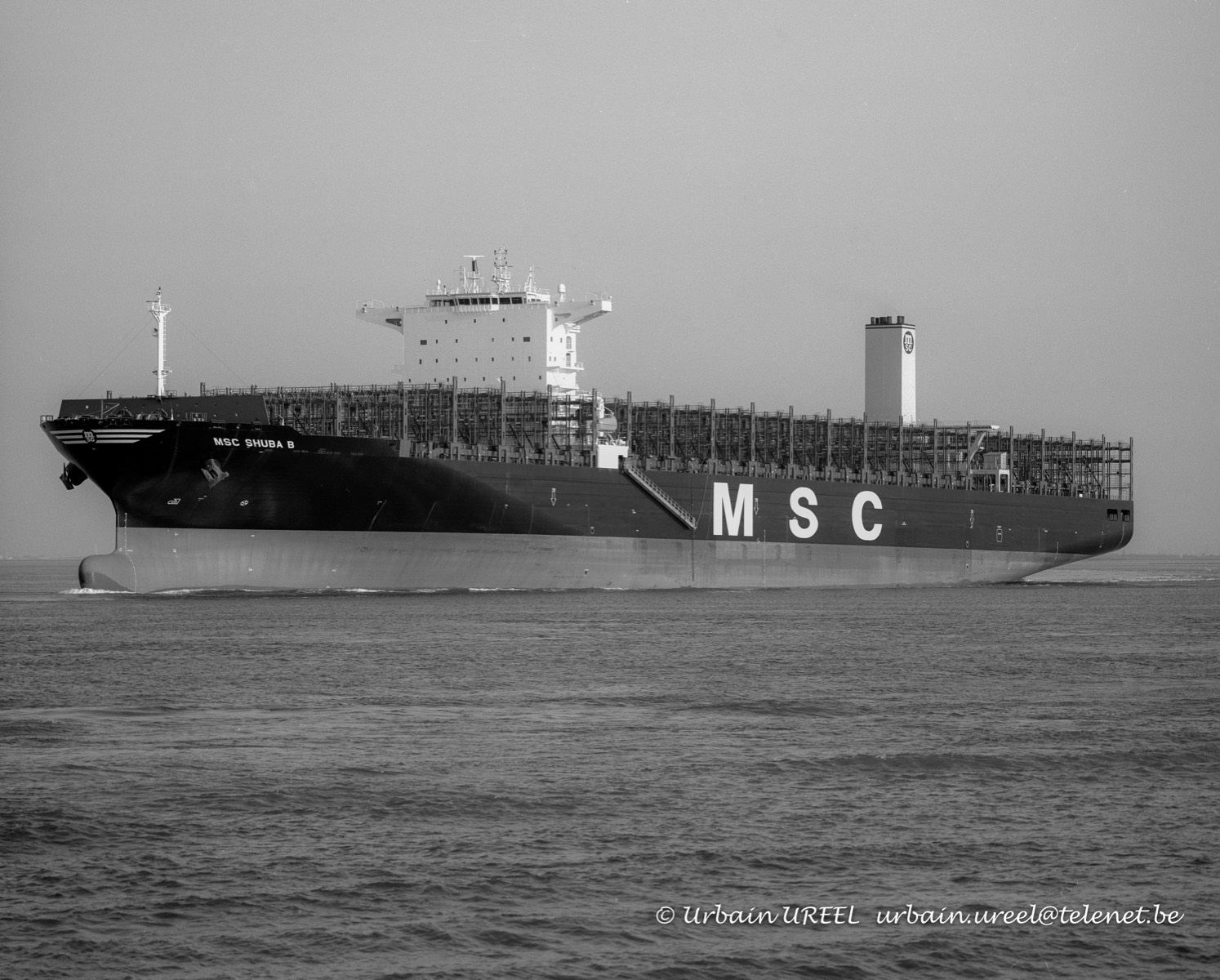 MSC SHUBA B (°2017) 16 OCT 2017