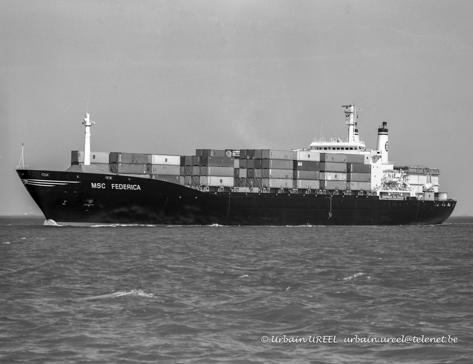 MSC FEDERICA (°1978) 27 JUN 1995