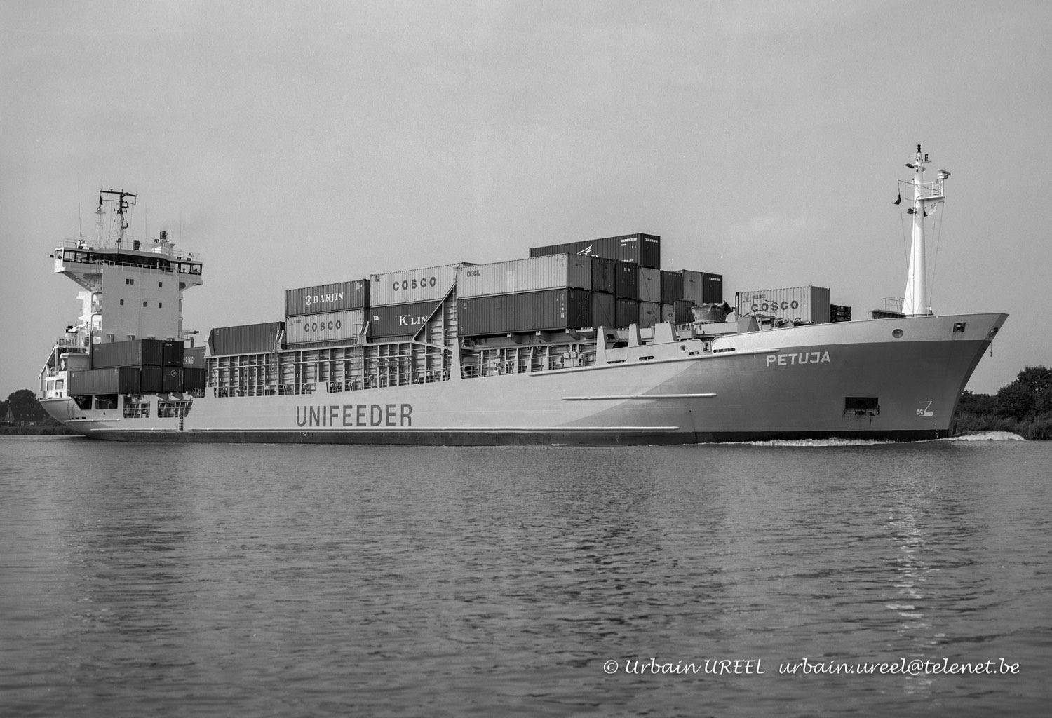 PETUJA (°1997) 16 AUG 2006