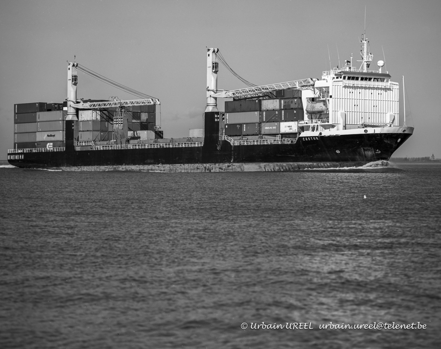 CASTOR (°1990) 10 MAR 1994