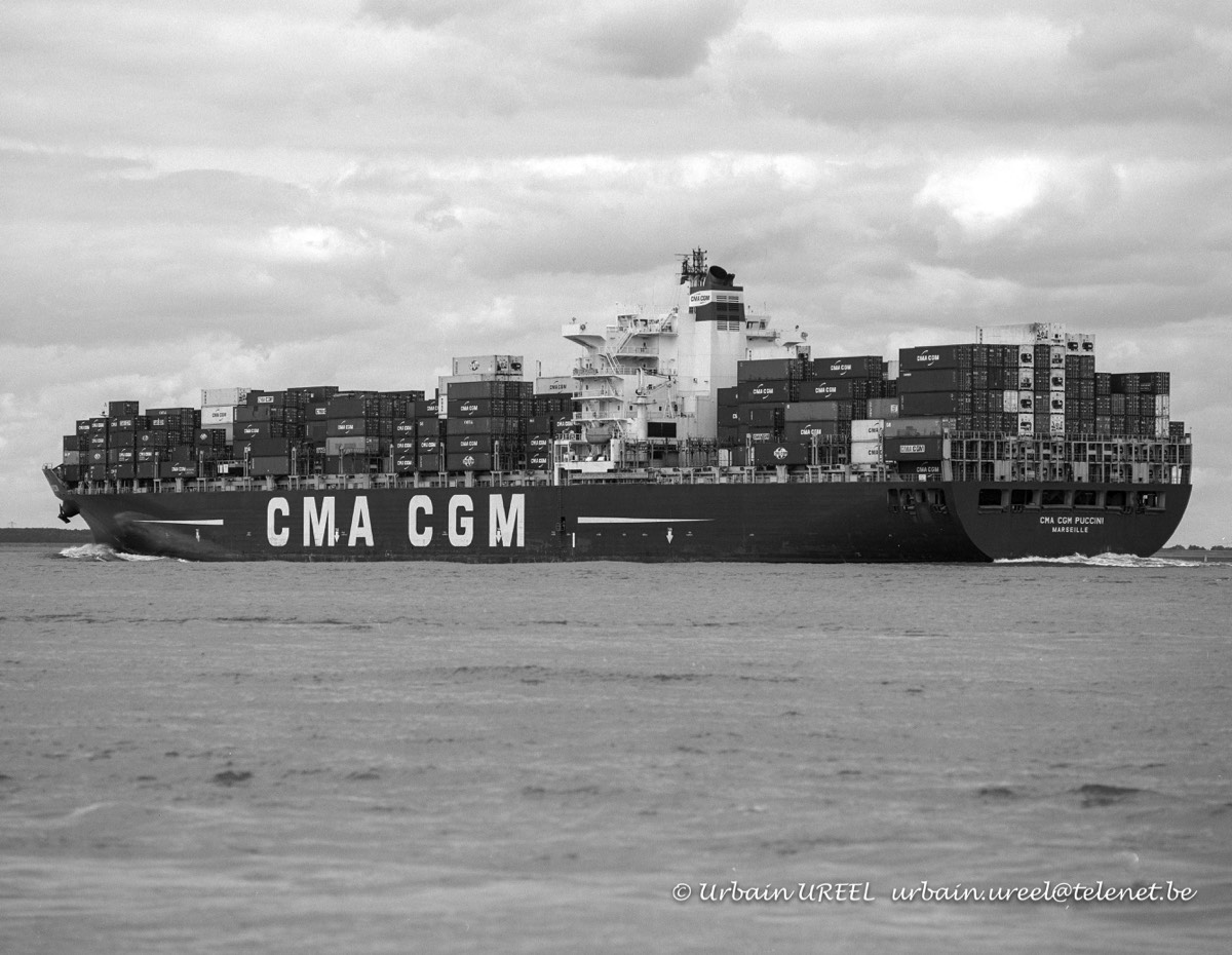 CMA CGM PUCCINI (°2004) 10 AUG 2013