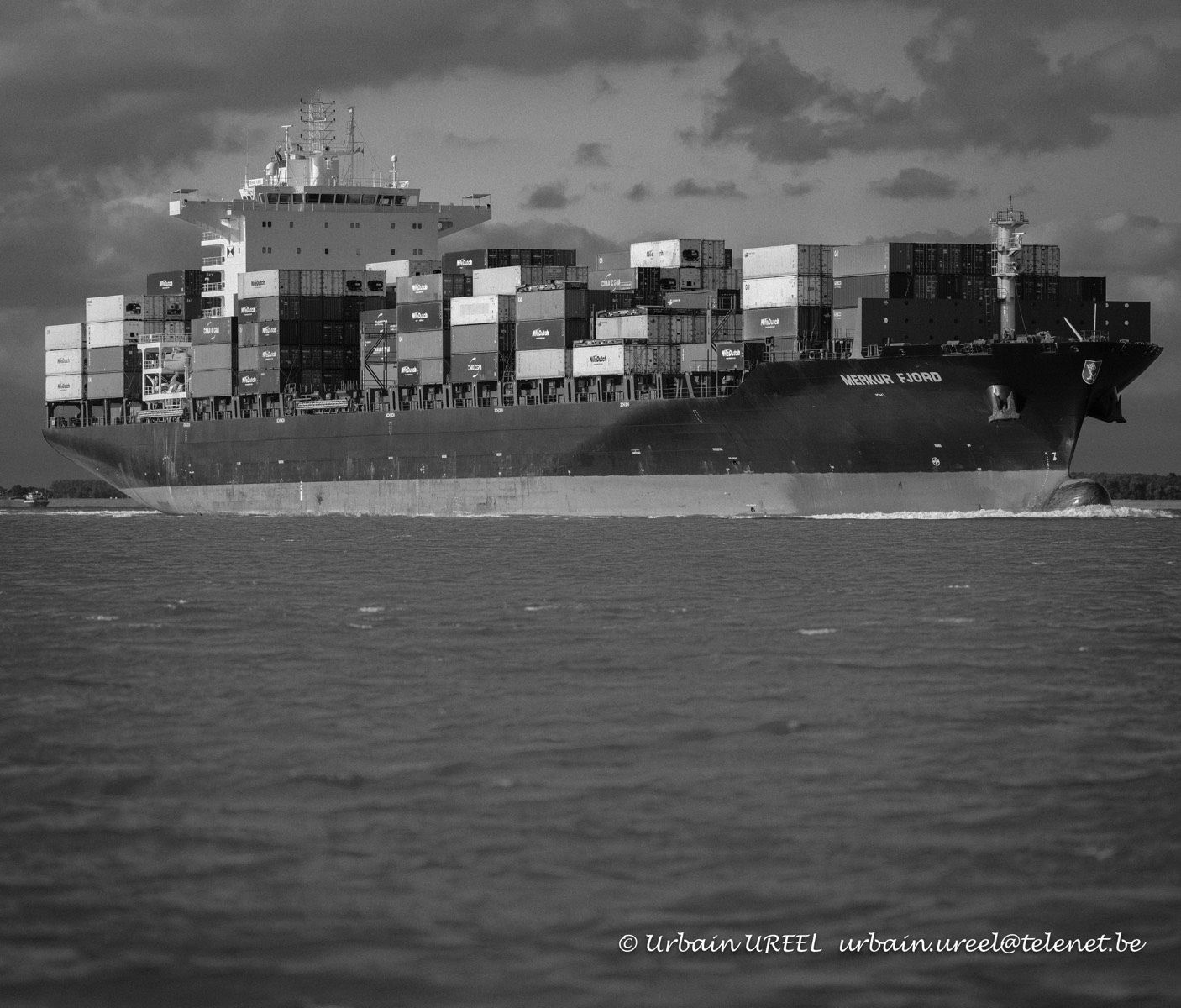 MERKUR FJORD  (°2013) 25 AUG 2021