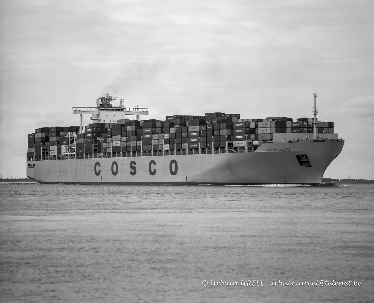 COSCO PACIFIC (°2008) 10AUG2013