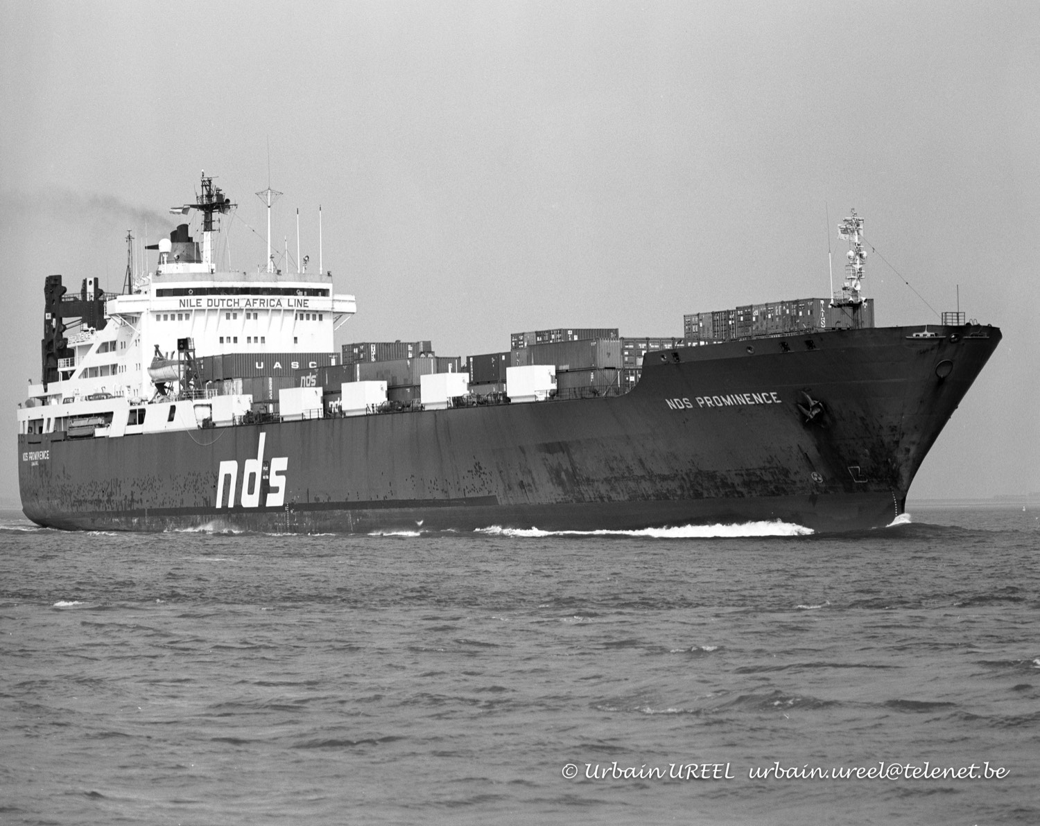 NDS PROMINENCE (°1982) 3 SEP 1999