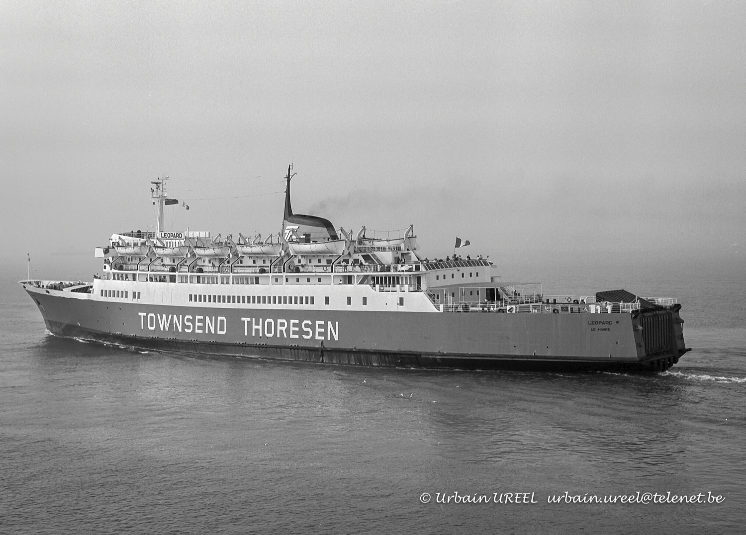 LEOPARD (°1967) 3 MAY 1985