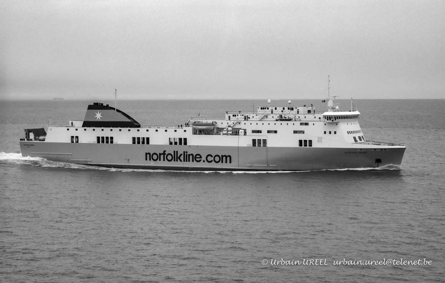 SCOTTISH VIKING (°2009) 2009