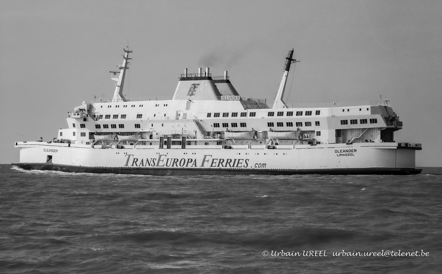 OLEANDER (°1980) 6 JUN 2006