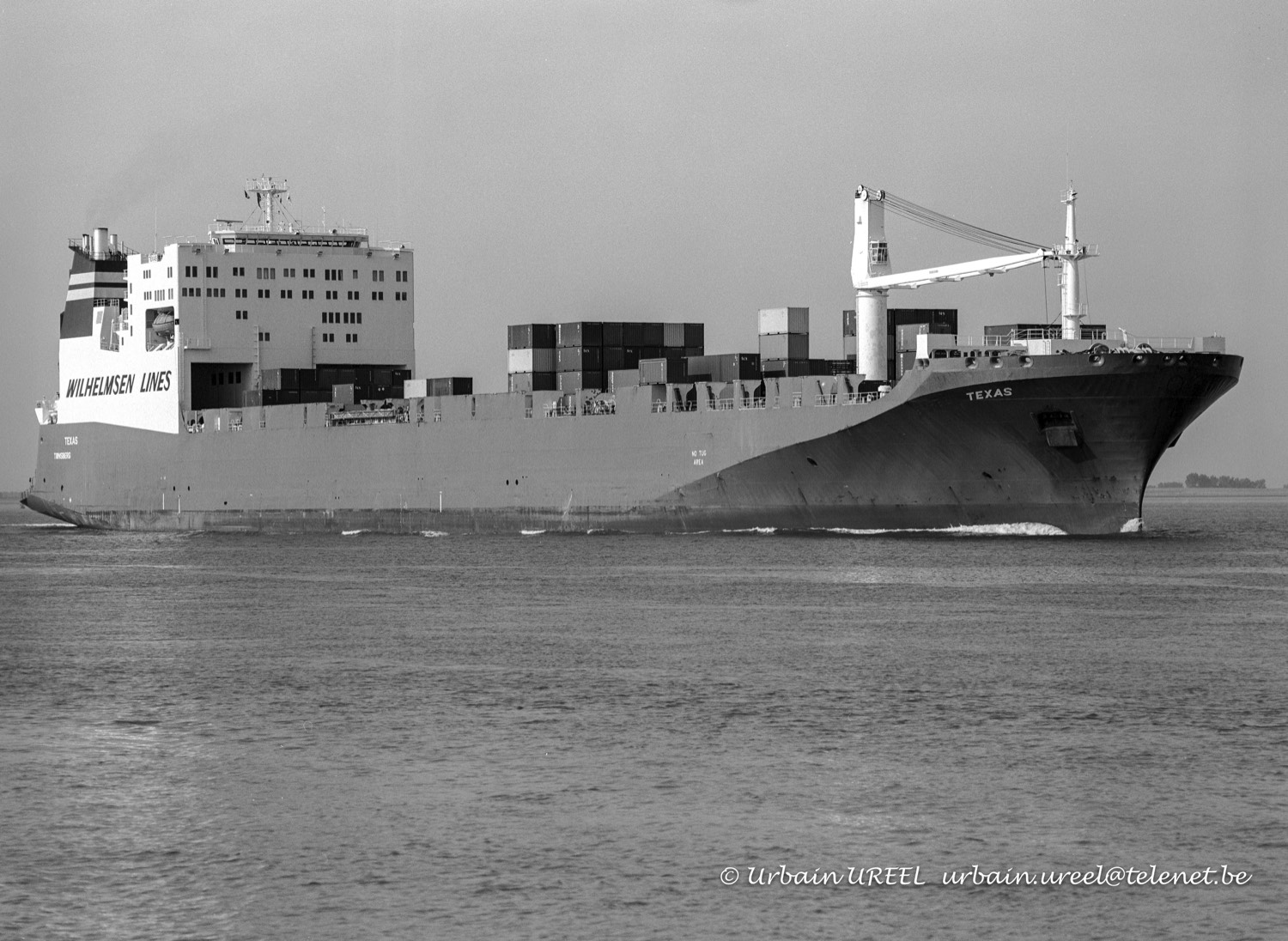 TEXAS (°1984) 7 AUG 1998