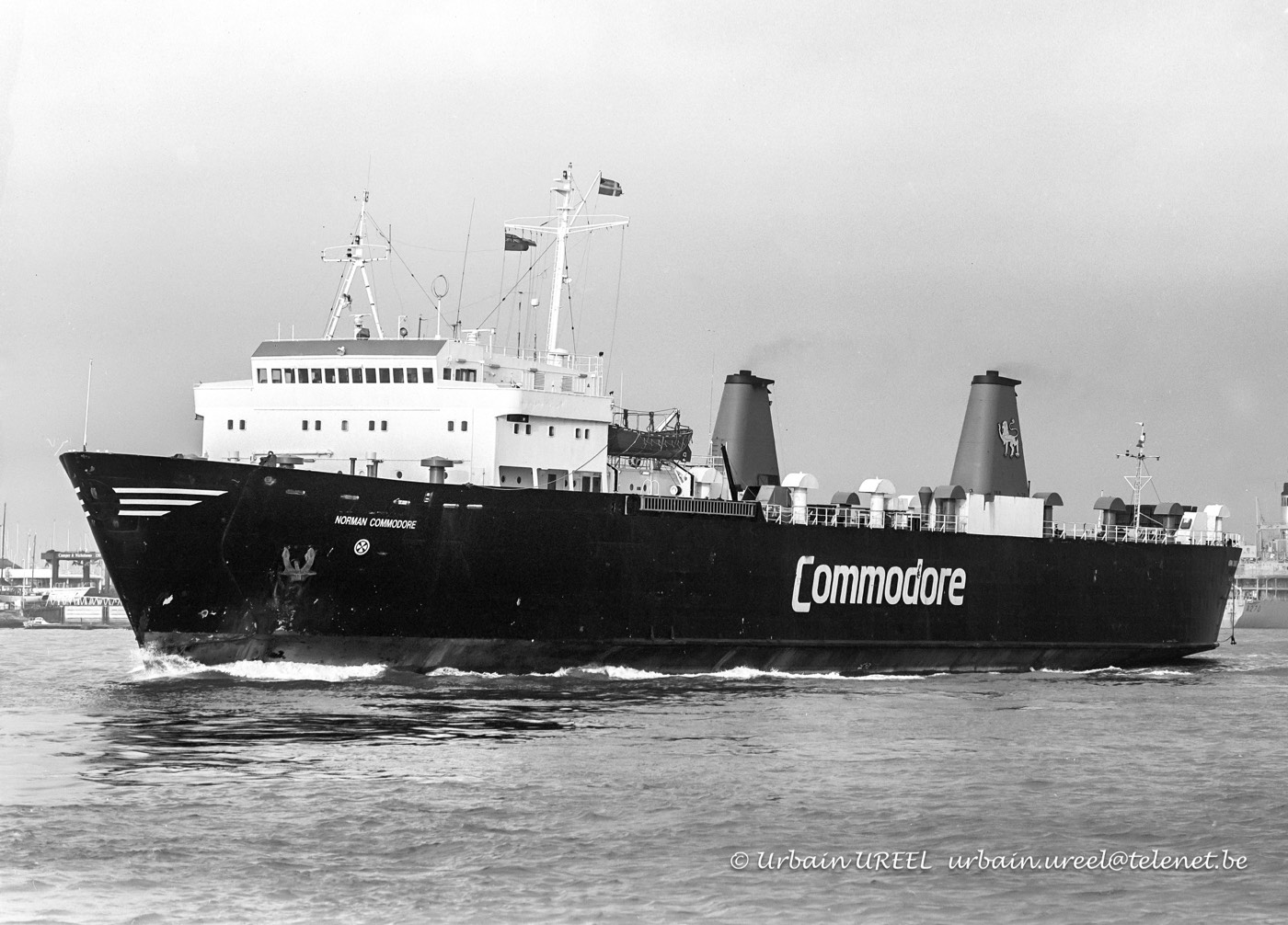 NORMAN COMMODORE (°1972) 1994