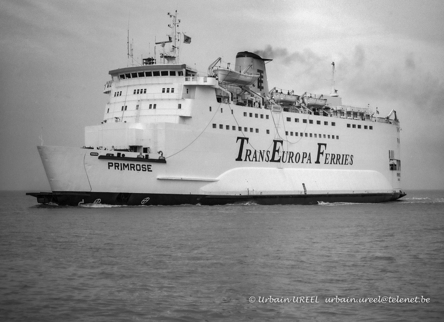 PRIMROSE (°1975) 22 MAR 2005