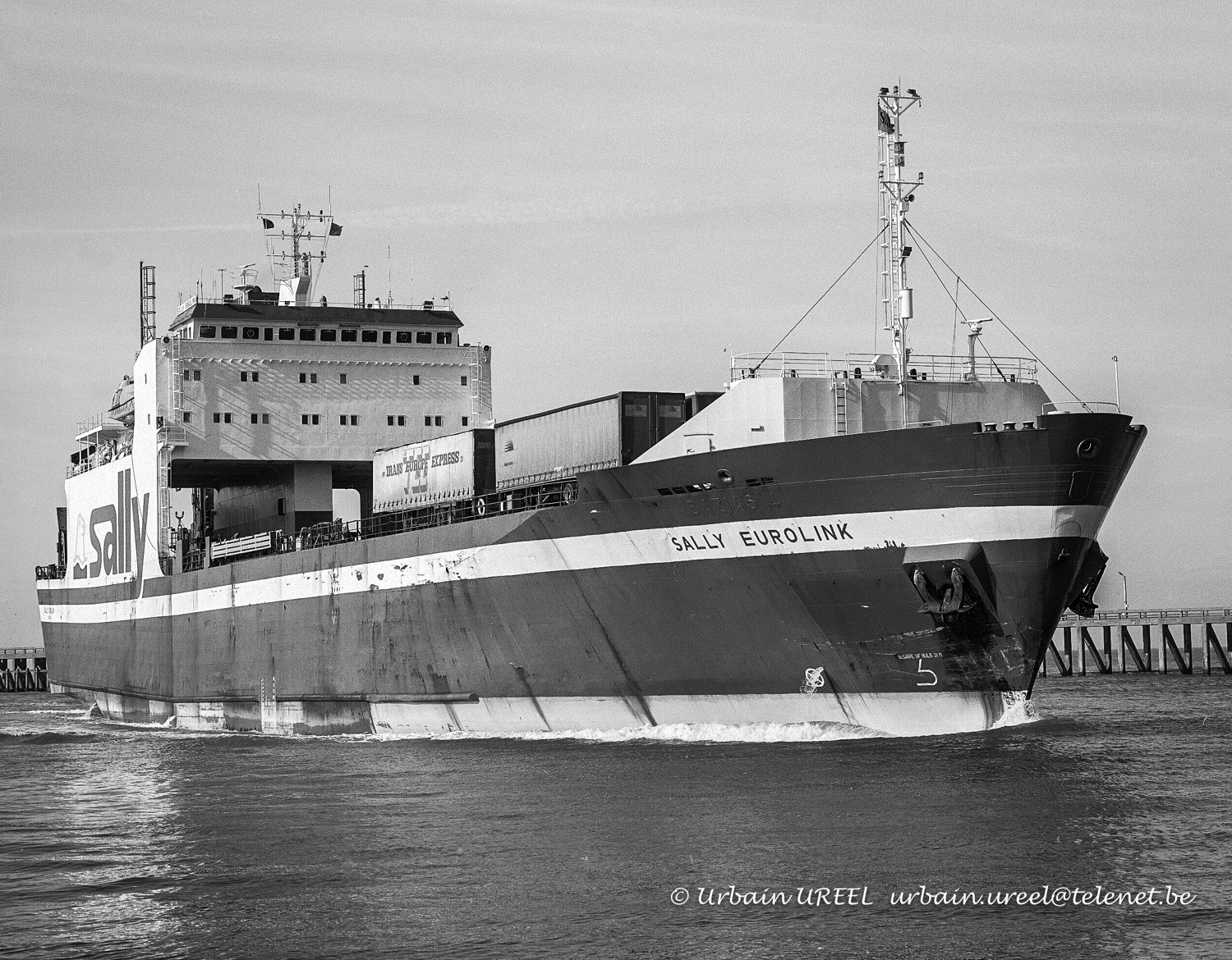 SALLY EUROLINK (°1985)