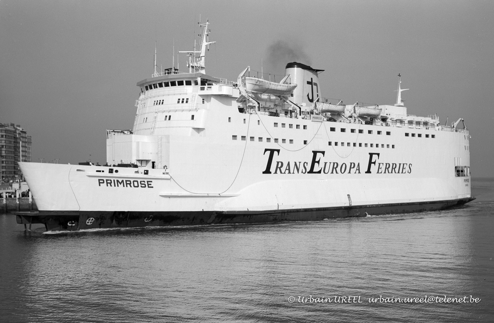 PRIMROSE (°1975) 24 AUG 2000