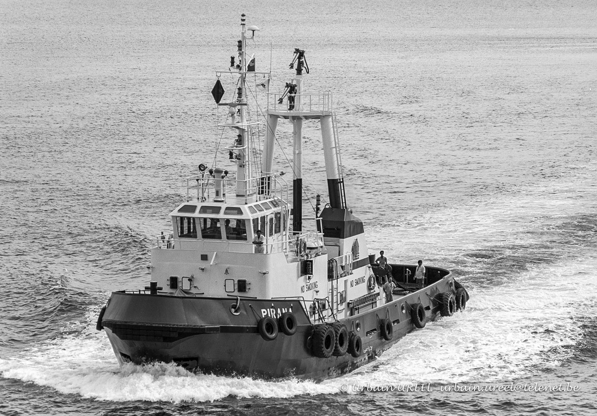 PIRANA (°1984) 12 SEP 1988