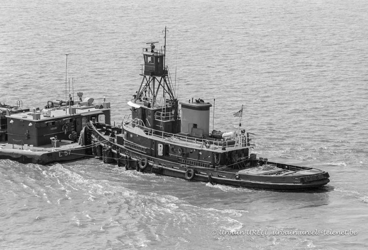 NORSEMAN (°1953) 13 AUG 1987