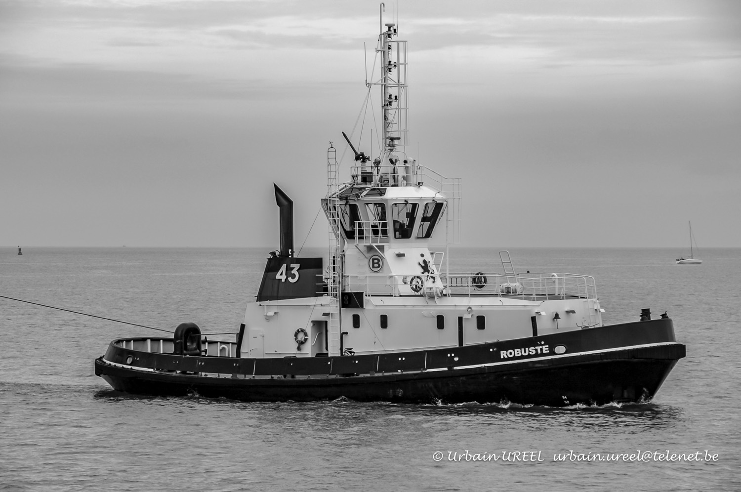 ROBUSTE (°1989) 14 AUG 2008