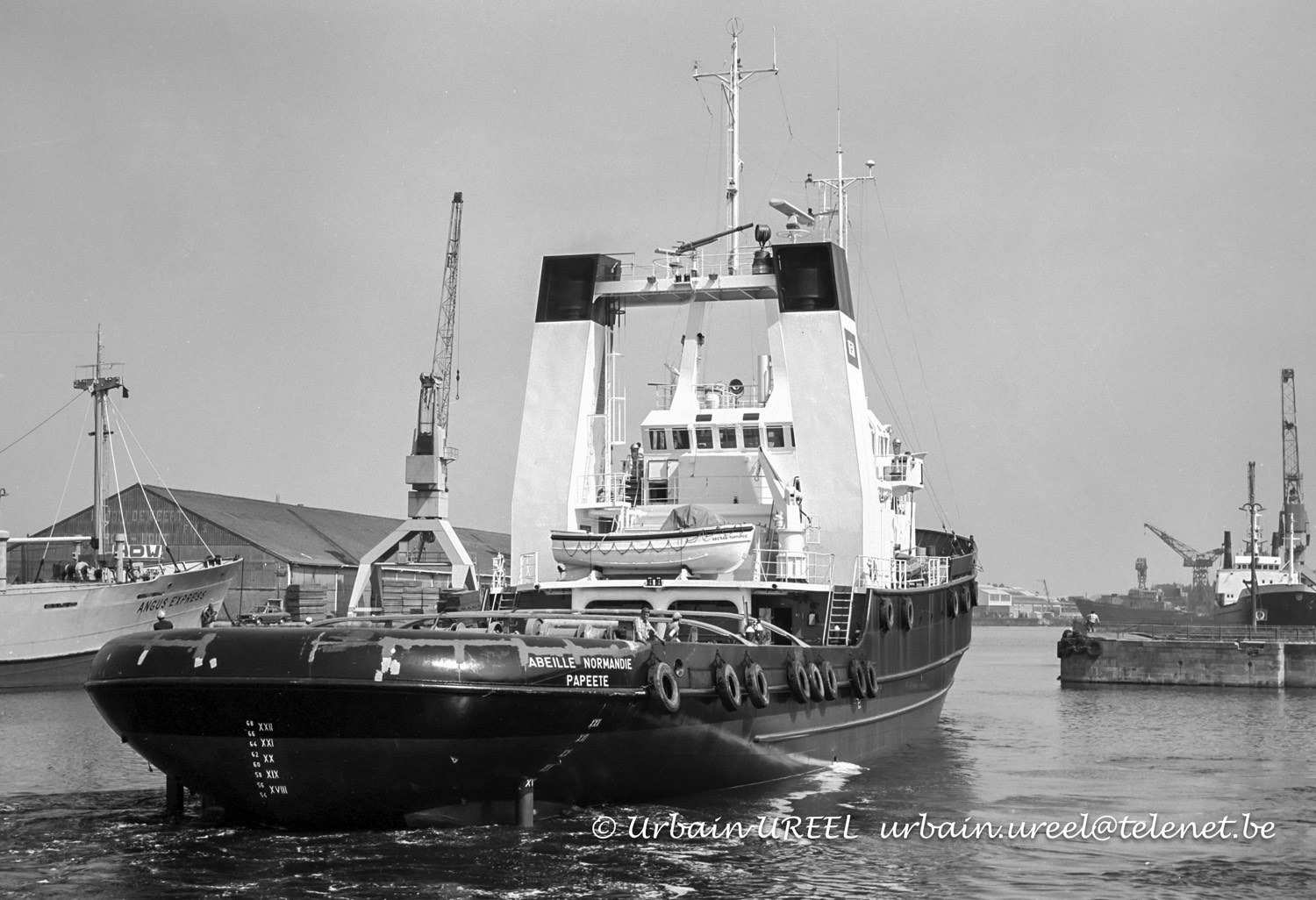 ABEILLE NORMANDIE (°1977)  1977