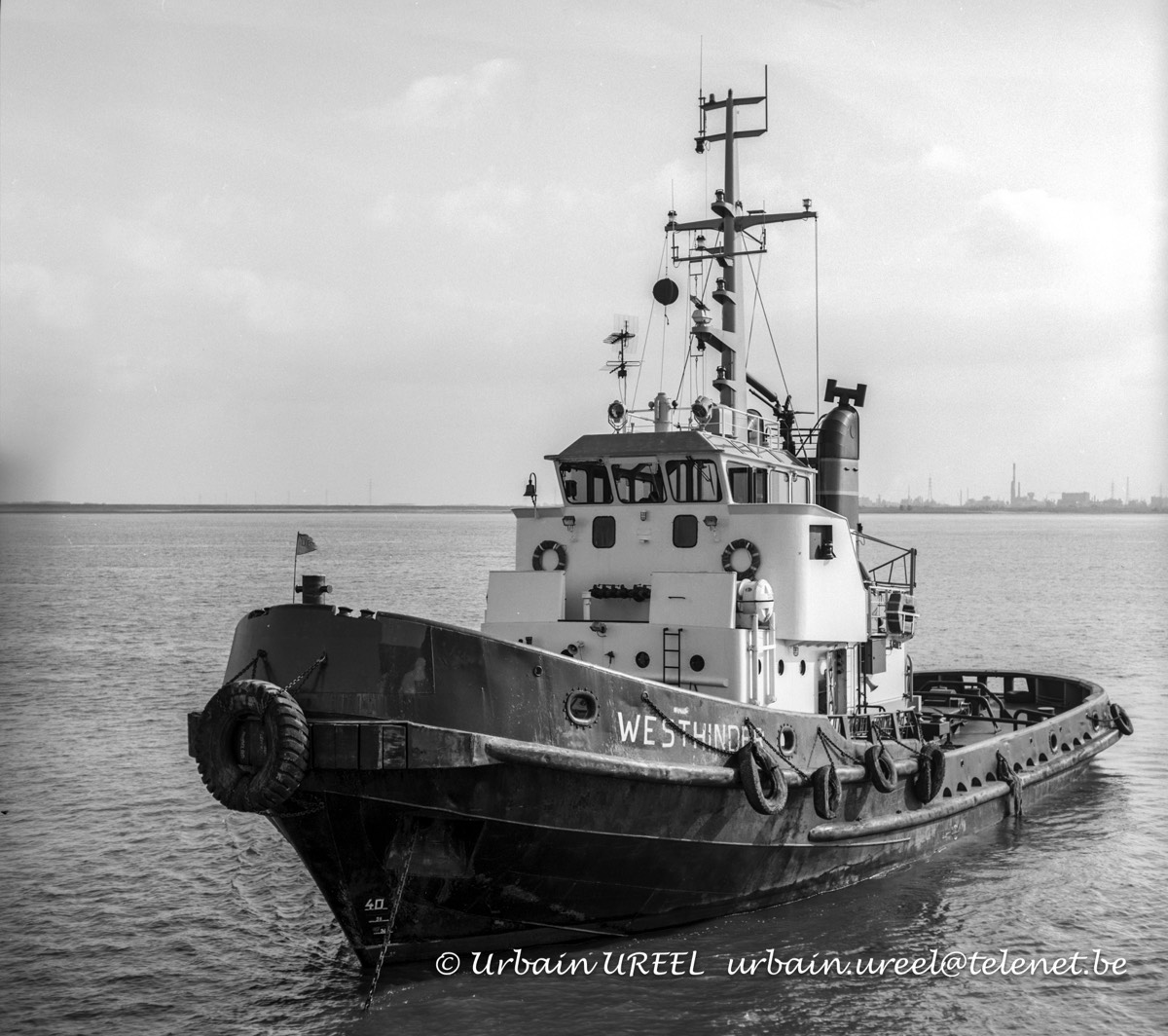 WESTHINDER (°1973) 25 SEP 1985