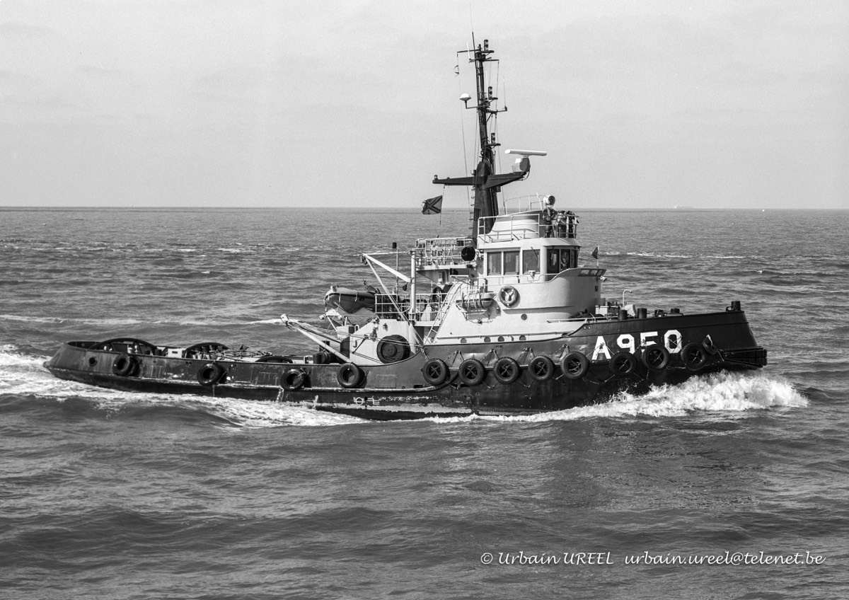 A 950 VALCKE (°1960) 4 MAY 1998