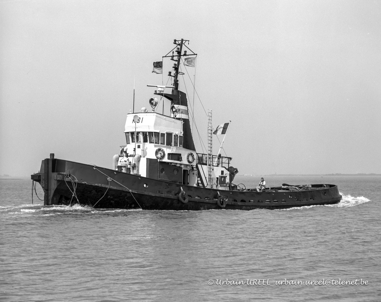 KOI (°1964)  8 MAY 1998