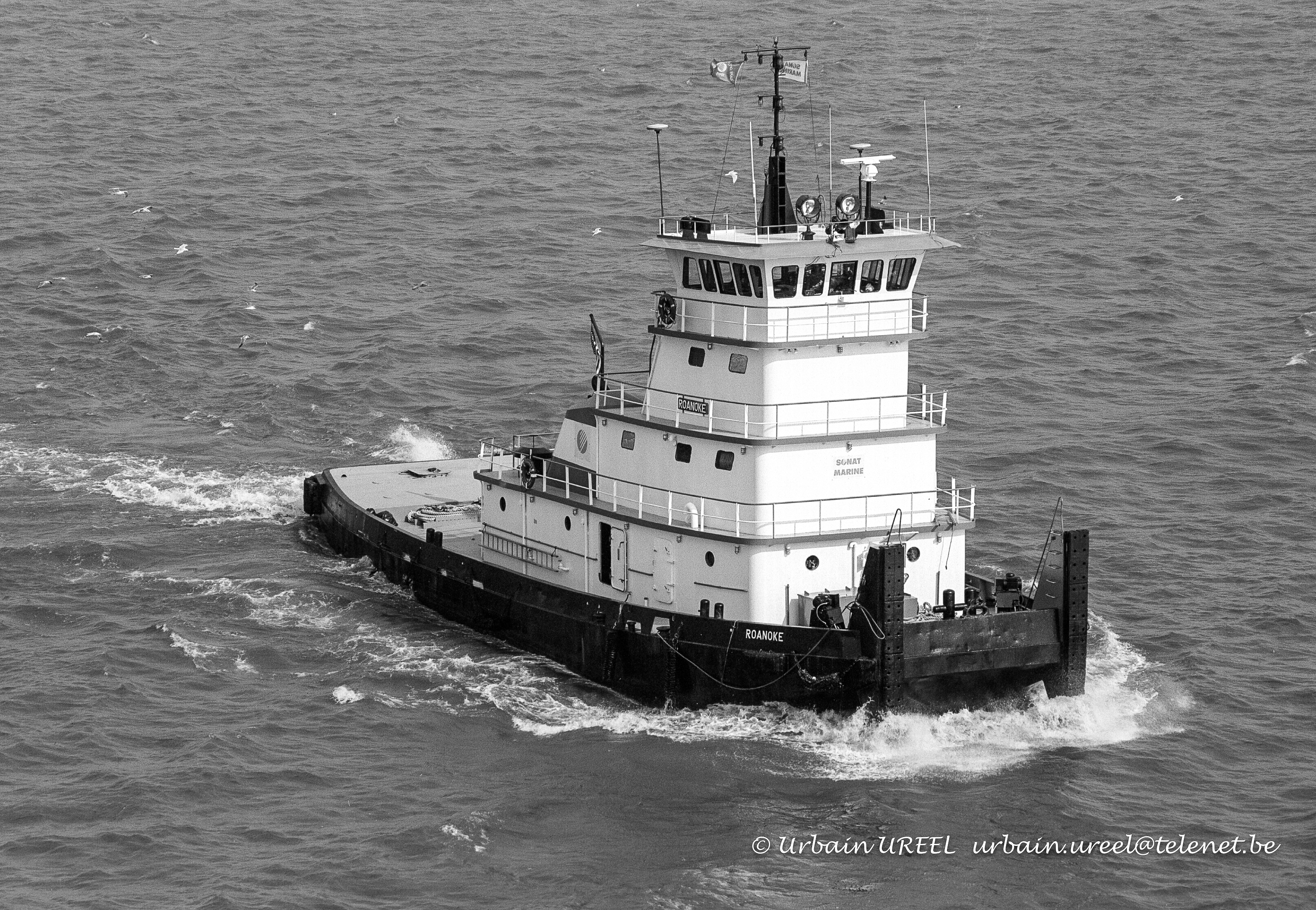 ROANOKE (°1966) 10 sep 1986 Marcus Hook