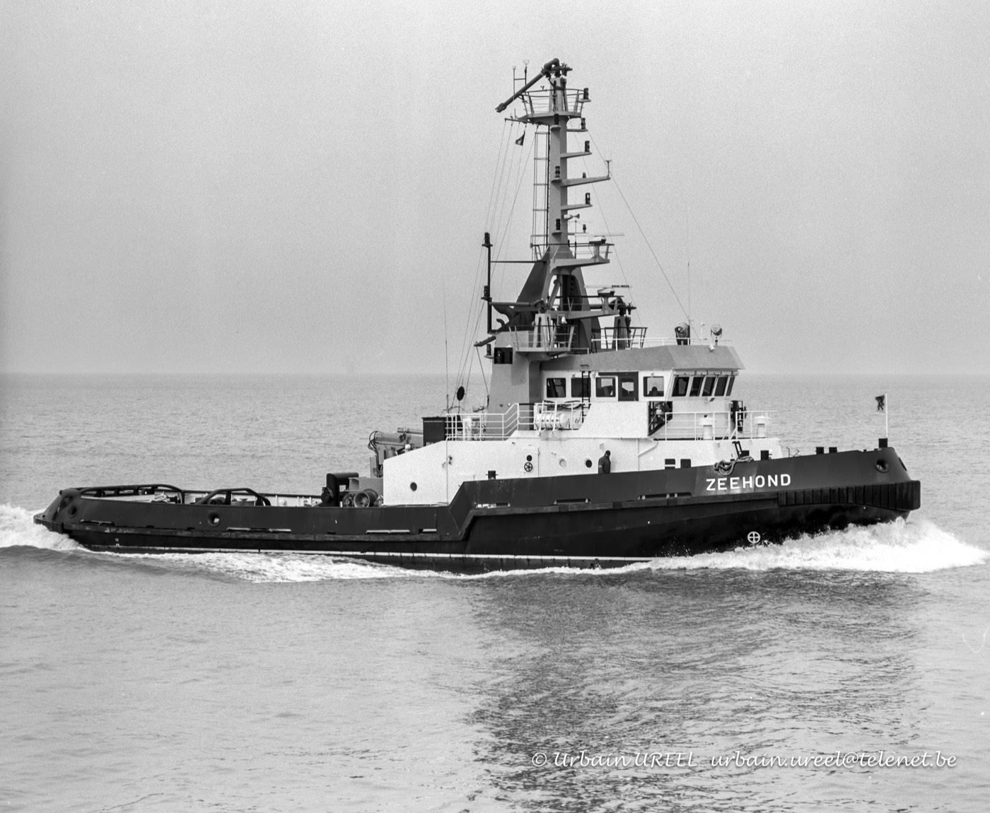 ZEEHOND (°1990) 25 MAR 1998