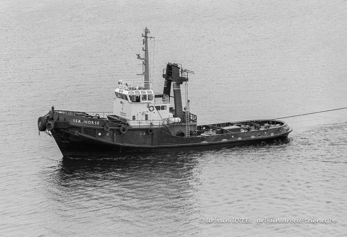 SEA HORSE (°1968) 12 JUL 1988