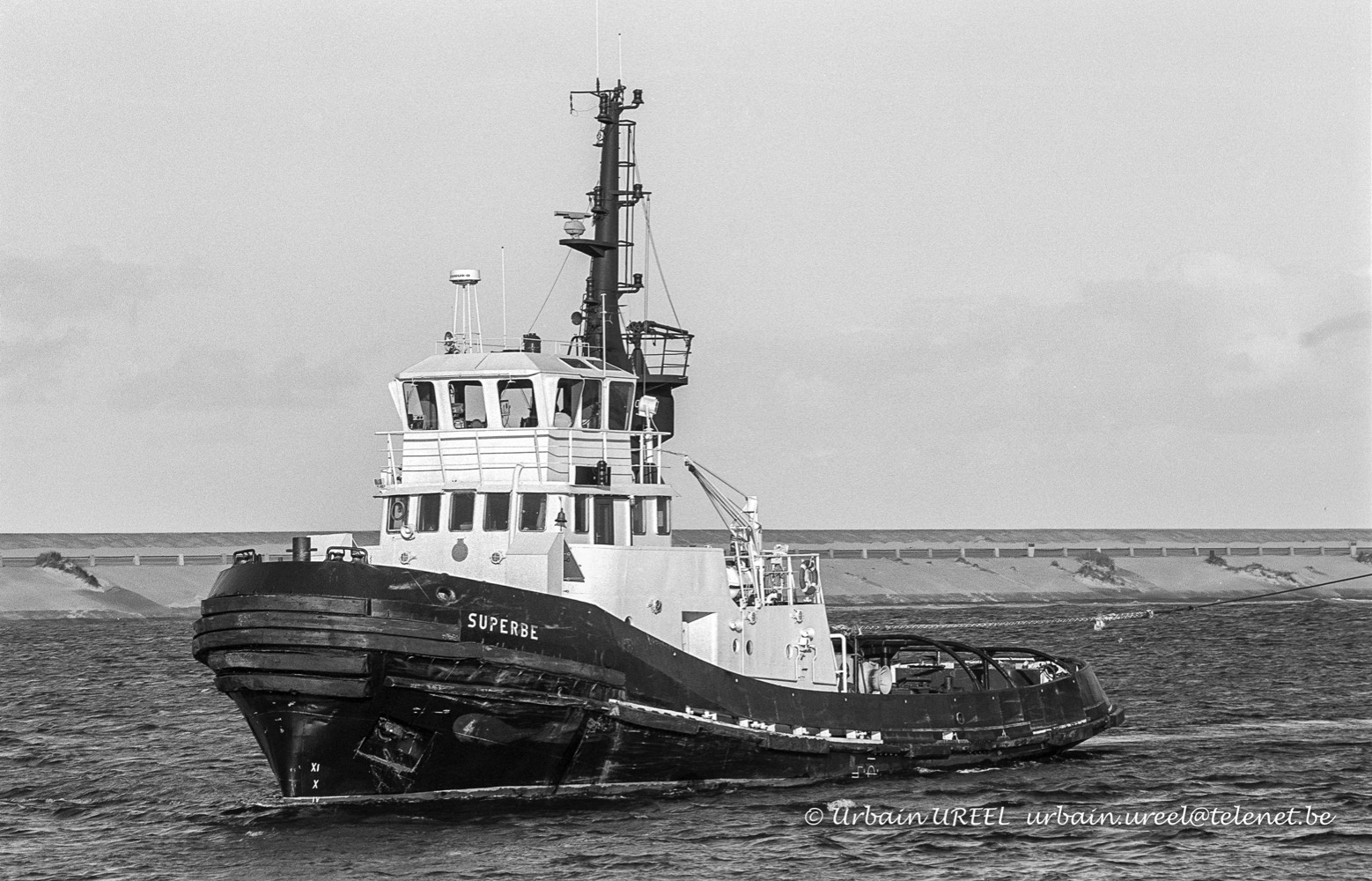 SUPERBE (°1973) 13 JAN 1991