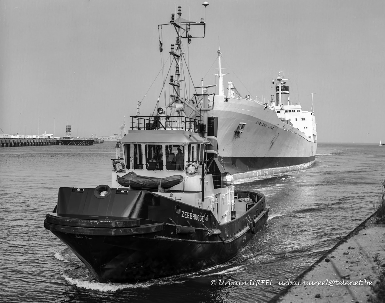 ZEEBRUGGE (°1992) 26 JUL 95