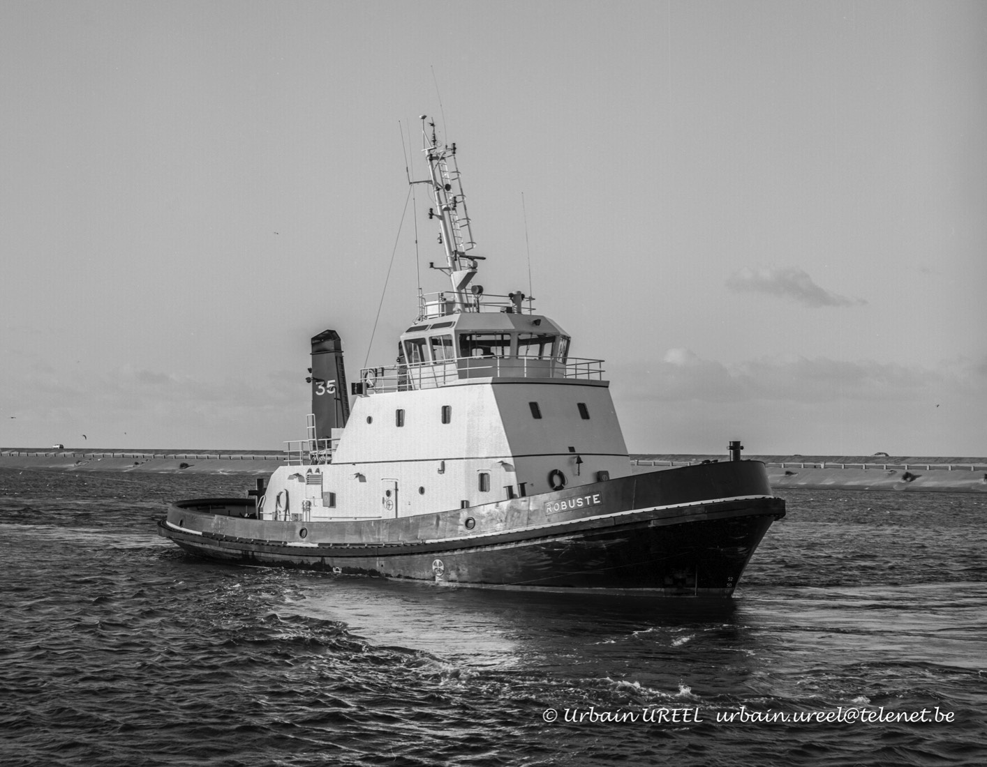 ROBUSTE(°1987) 13 JAN 1991