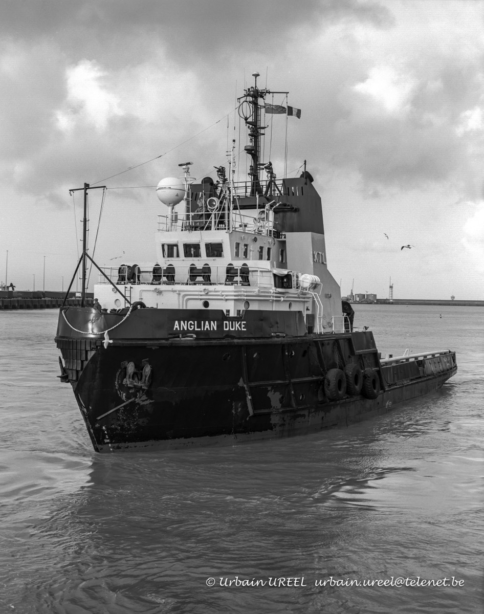 ANGLIAN DUKE (°1977) 14 FEB 1995