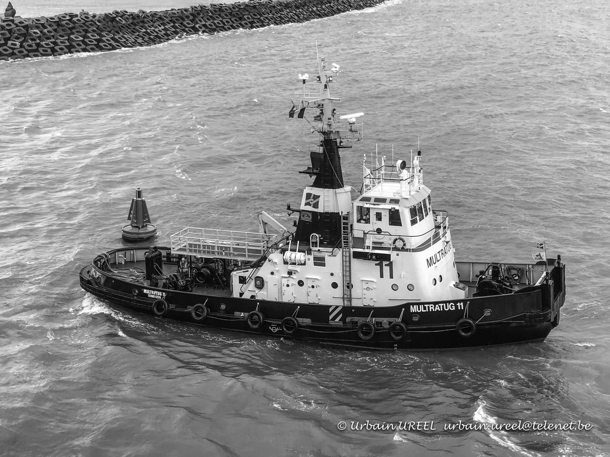 MULTRATUG 11 ( °1972) 25 SEP 2020