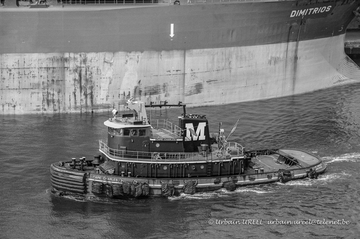 CAPE CHARLES ()1972) 16 SEP 1990