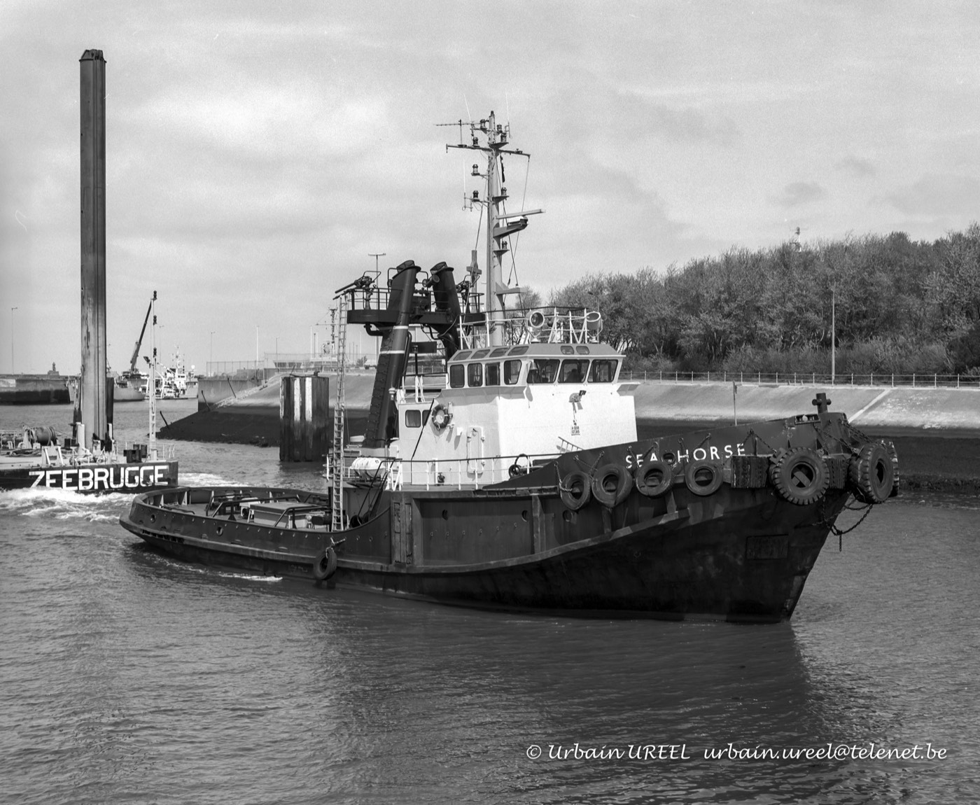 SEA HORSE (°1968) 4 MAY 1998