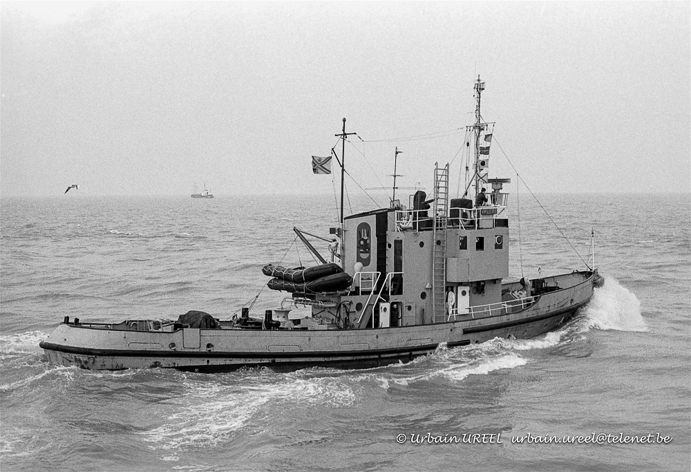 O/LT VALCKE A950 (°1946) 