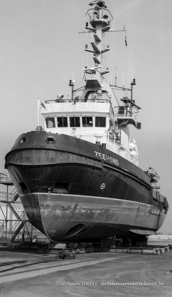 ZEEHOND (°1990) 2006