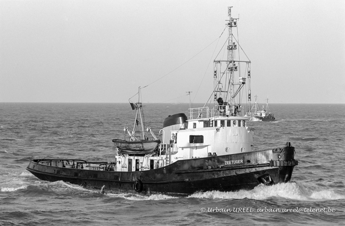 ZEETIJGER (°1956) 7 JAN 1991